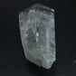 Himalayan Clear Quartz With Chlorite Inclusions 133g - Luna Panther