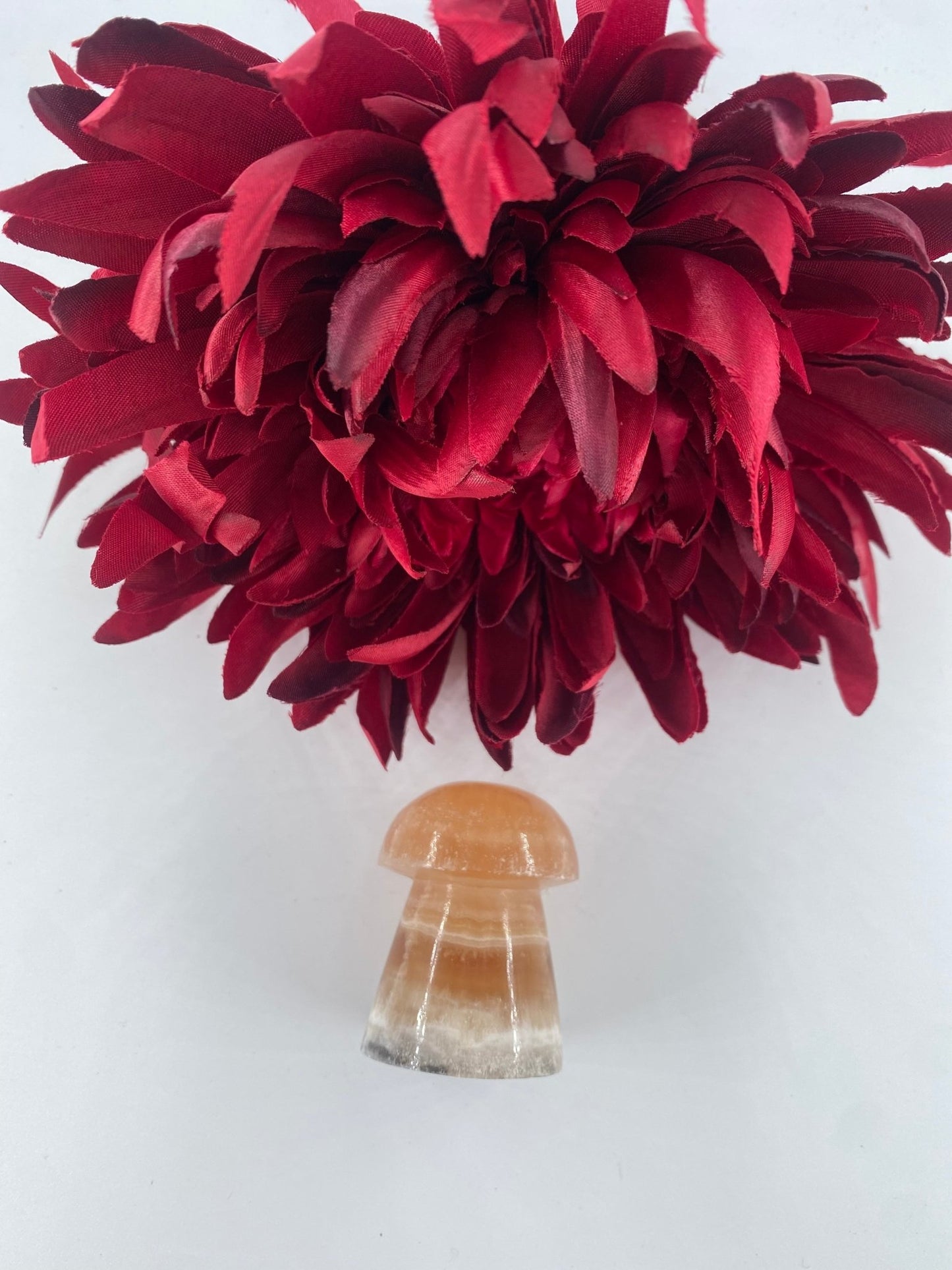 Polished Honey Calcite Mushroom featuring golden honey tone and glassy sheen - Luna Panther