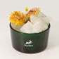 Hop Hare Diffusing Crystals & Floral Set - The Lion - Luna Panther