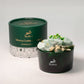 Hop Hare Diffusing Crystals & Floral Set - The Magician - Luna Panther