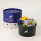 Hop Hare Diffusing Crystals & Floral Set - The Sun - Luna Panther