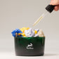 Hop Hare Diffusing Crystals & Floral Set - The Sun - Luna Panther