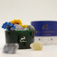 Hop Hare Diffusing Crystals & Floral Set - The Sun - Luna Panther