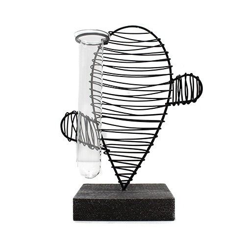 Hydroponic Home Decor - Cactus & Lab Pot - Luna Panther