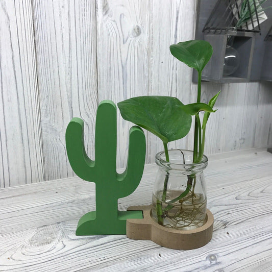 Hydroponic Home Decor - Cactus Pot - Luna Panther alternate view