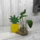 Hydroponic Home Decor - Pineapple Pot - Luna Panther