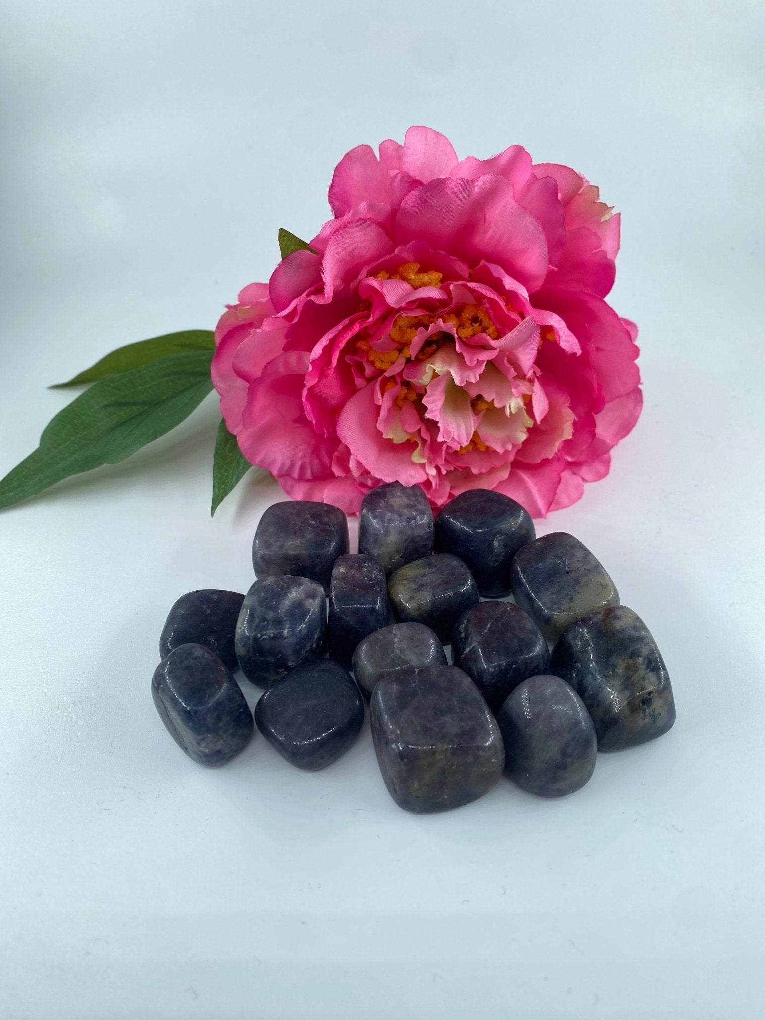 Polished Iolite - Tumble Stone featuring violet-blue tone and glassy finish - Luna Panther