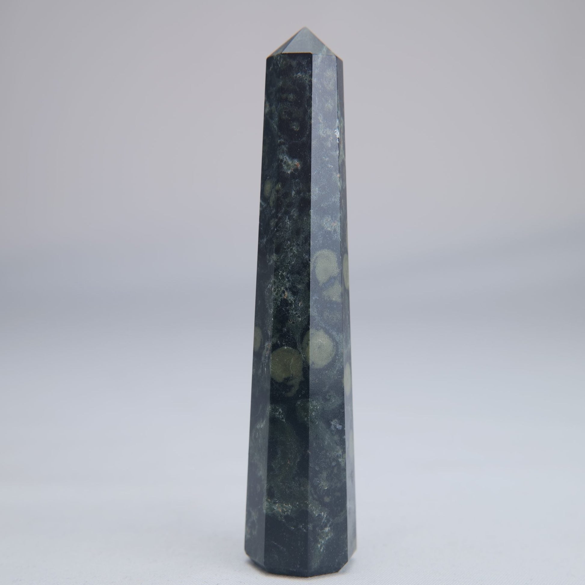 Kambaba Jasper Point 100mm 60g - Luna Panther