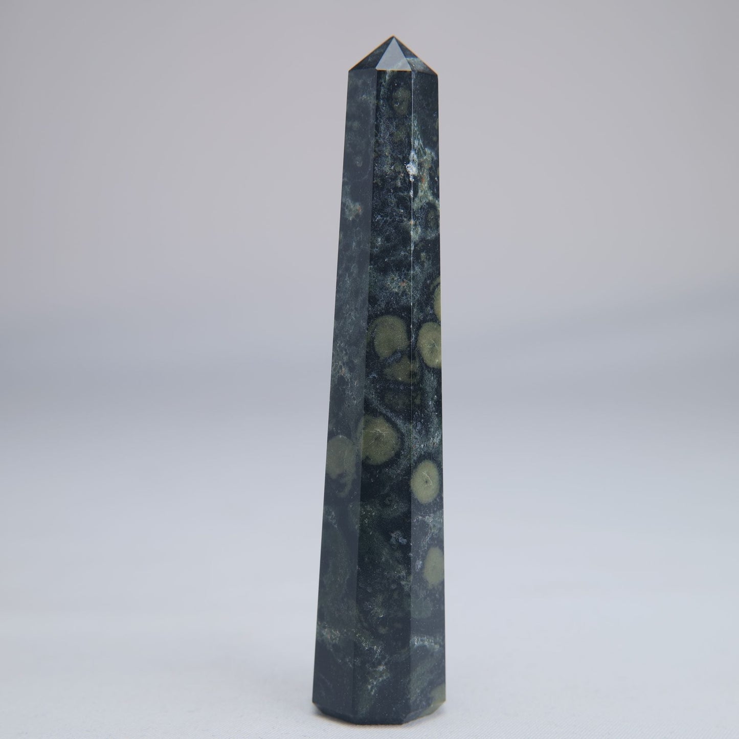 Kambaba Jasper Point 100mm 60g - Luna Panther
