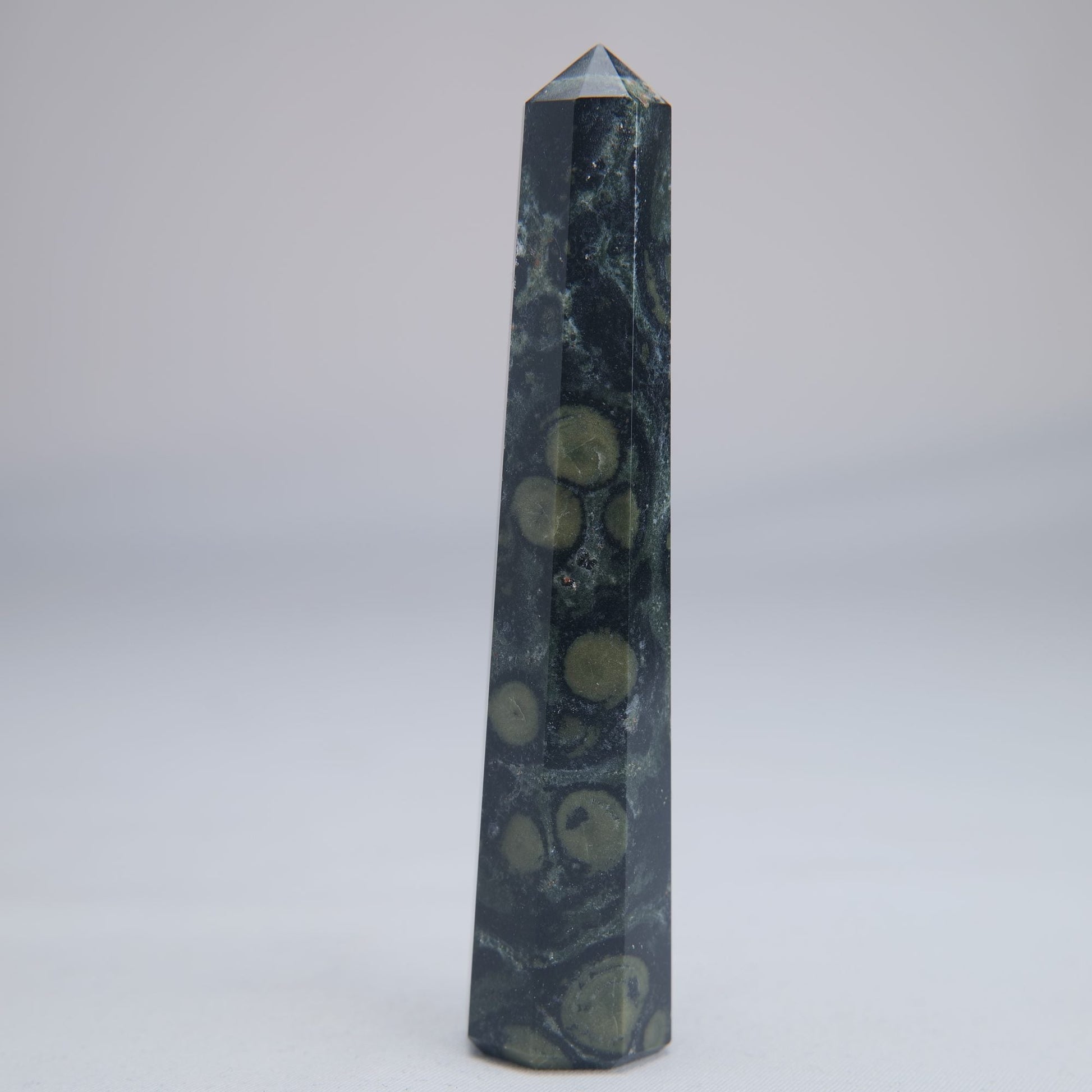 Kambaba Jasper Point 100mm 60g - Luna Panther