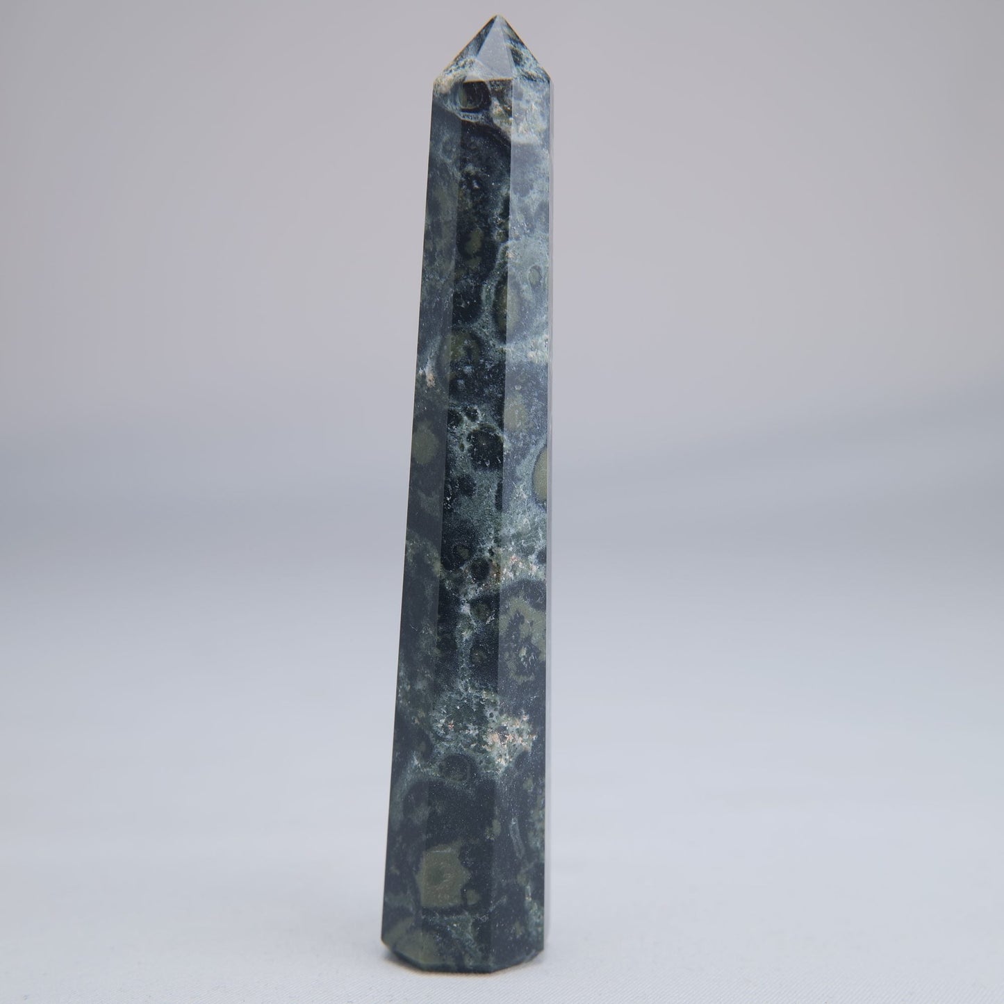 Kambaba Jasper Point 50g - Luna Panther