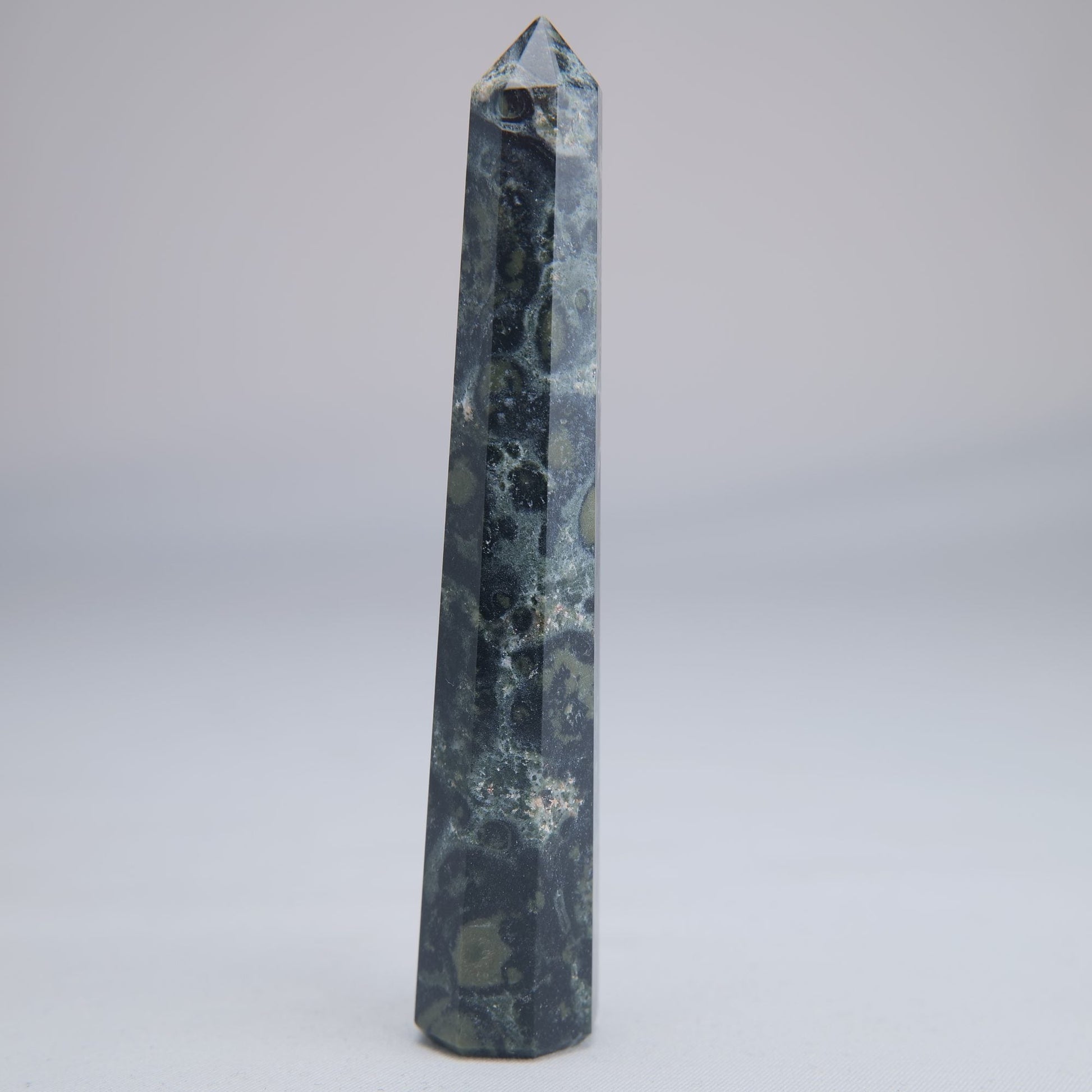 Kambaba Jasper Point 50g - Luna Panther
