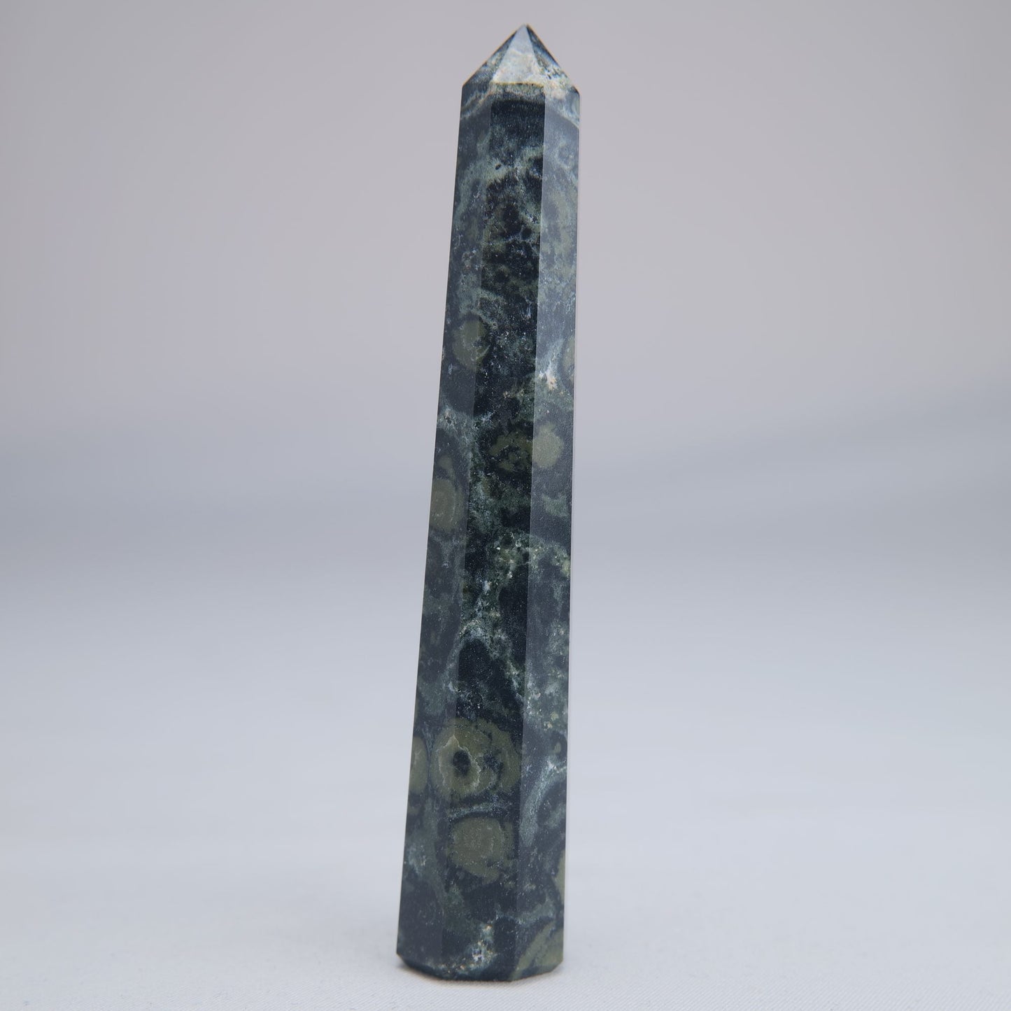 Kambaba Jasper Point 50g - Luna Panther