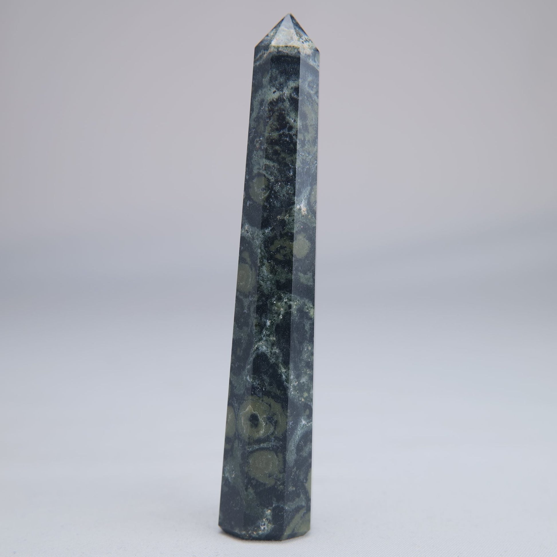 Kambaba Jasper Point 50g - Luna Panther