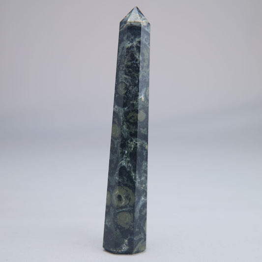 Kambaba Jasper Point 50g - Luna Panther alternate view