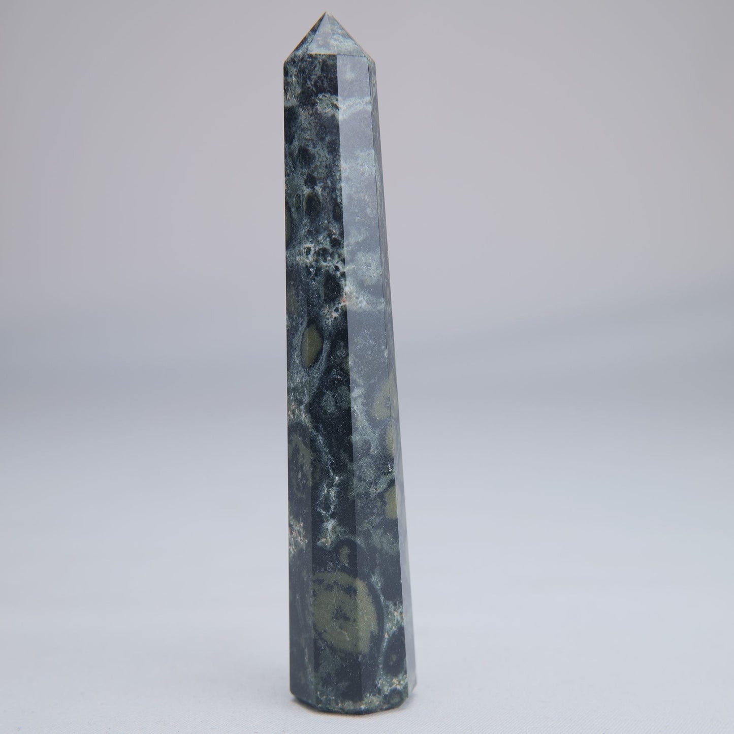 Kambaba Jasper Point 50g - Luna Panther