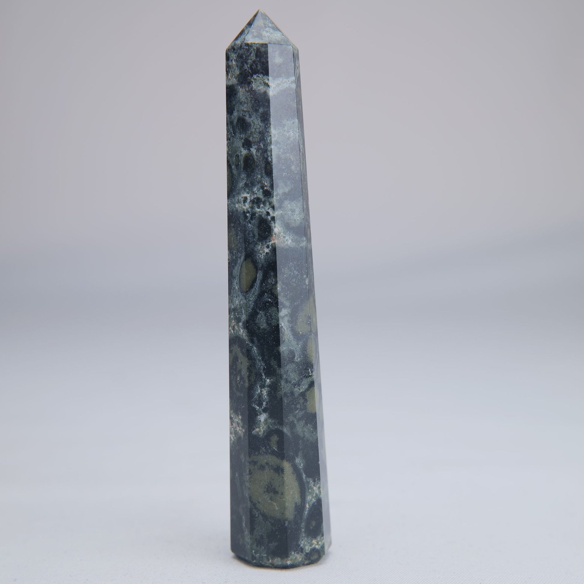 Kambaba Jasper Point 50g - Luna Panther