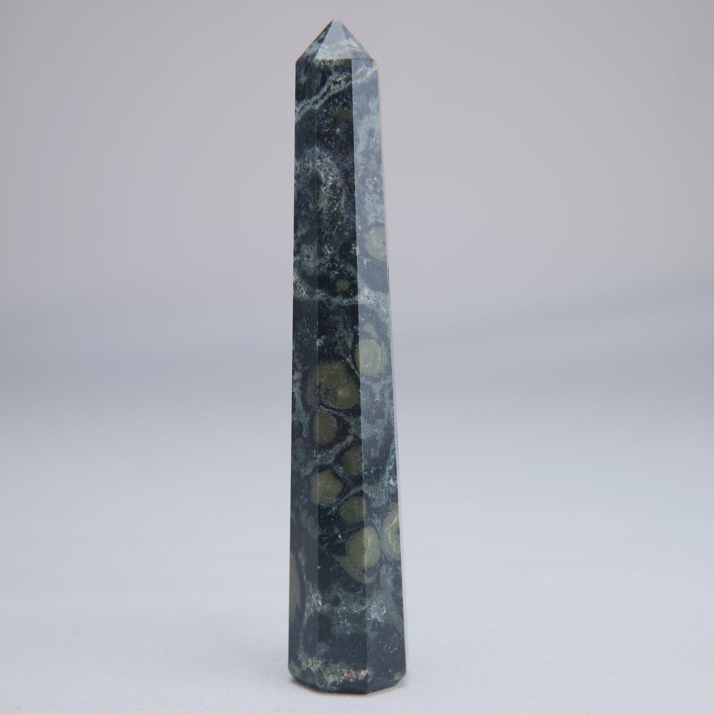 Kambaba Jasper Point 50g - Luna Panther