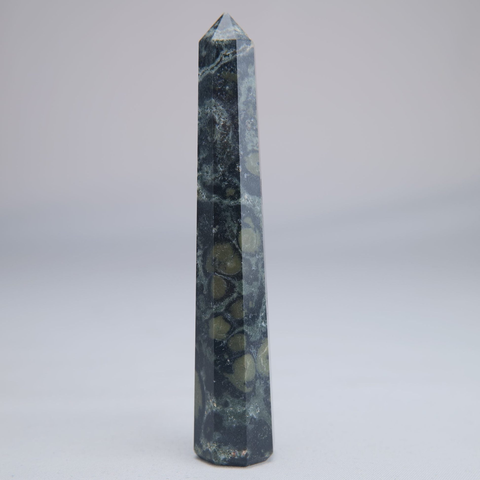 Kambaba Jasper Point 50g - Luna Panther