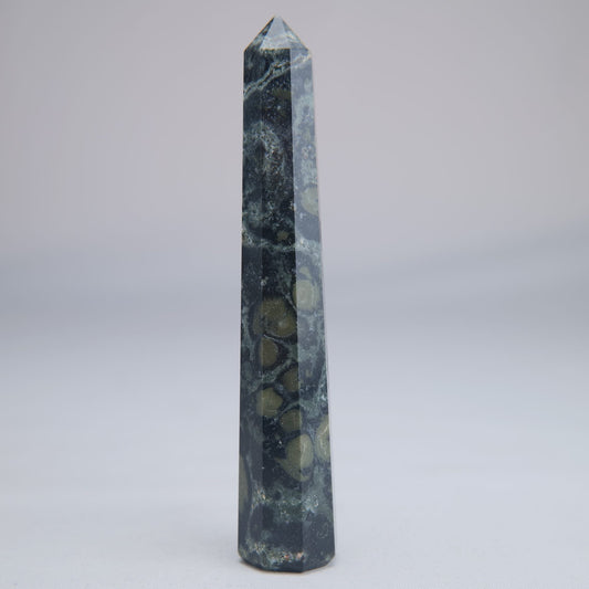 Kambaba Jasper Point 50g - Luna Panther