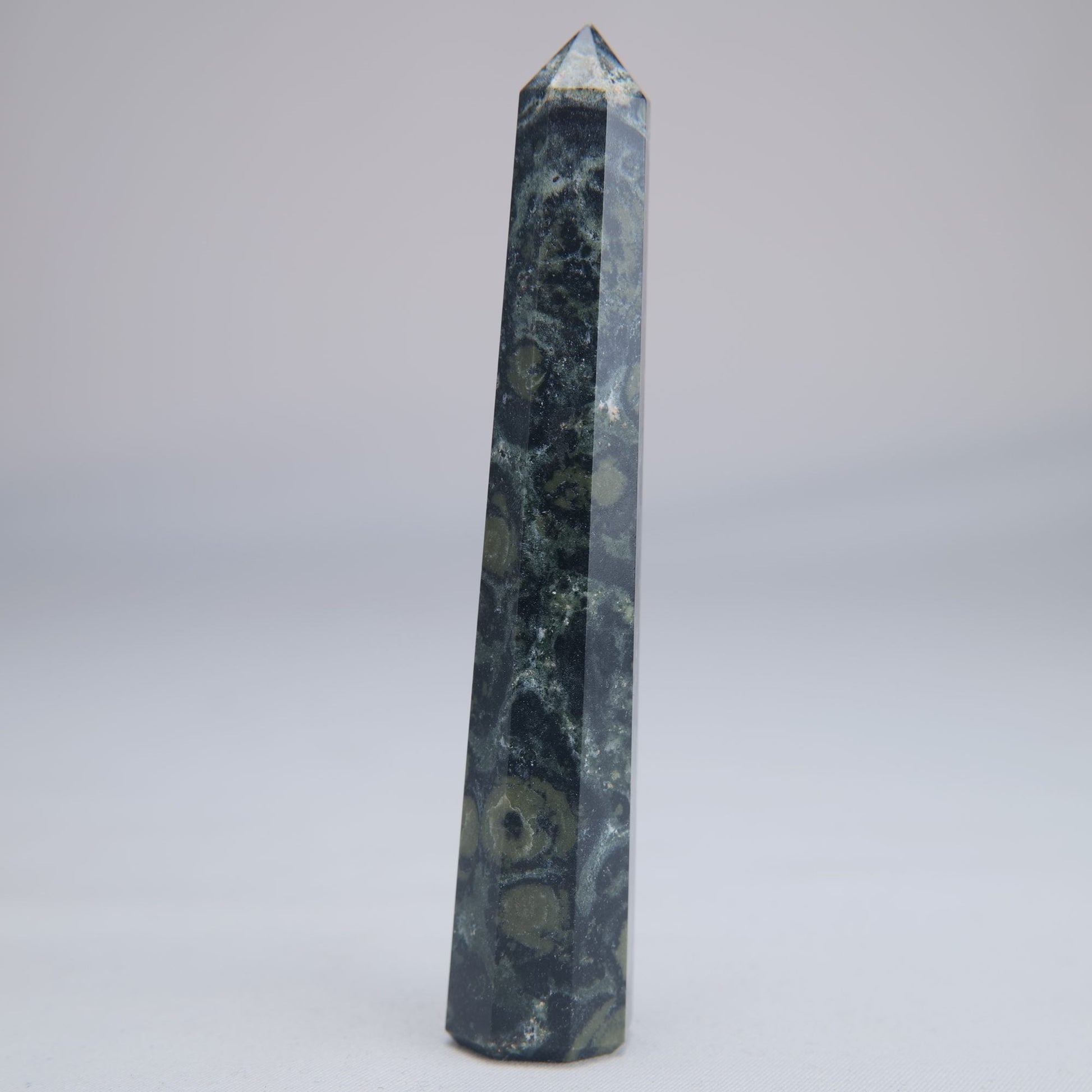 Kambaba Jasper Point 50g - Luna Panther