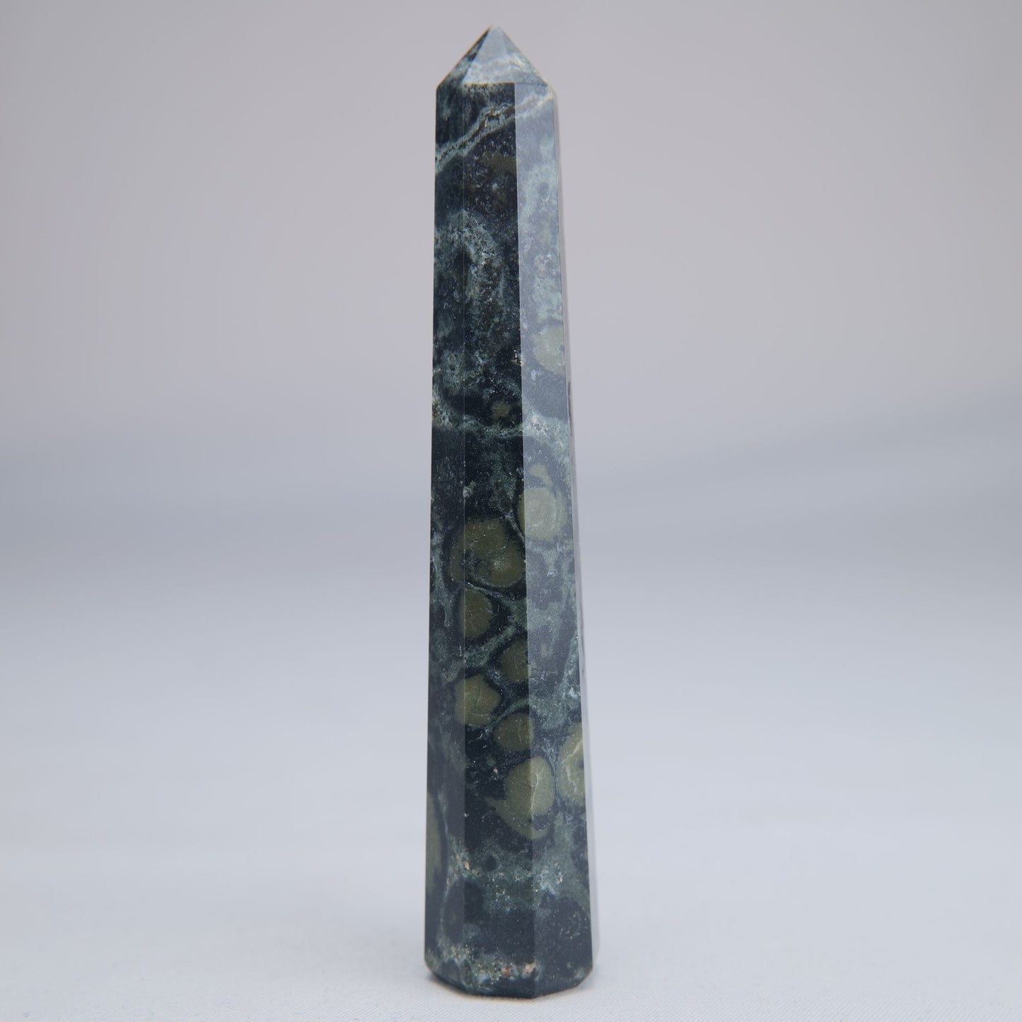 Kambaba Jasper Point 50g - Luna Panther