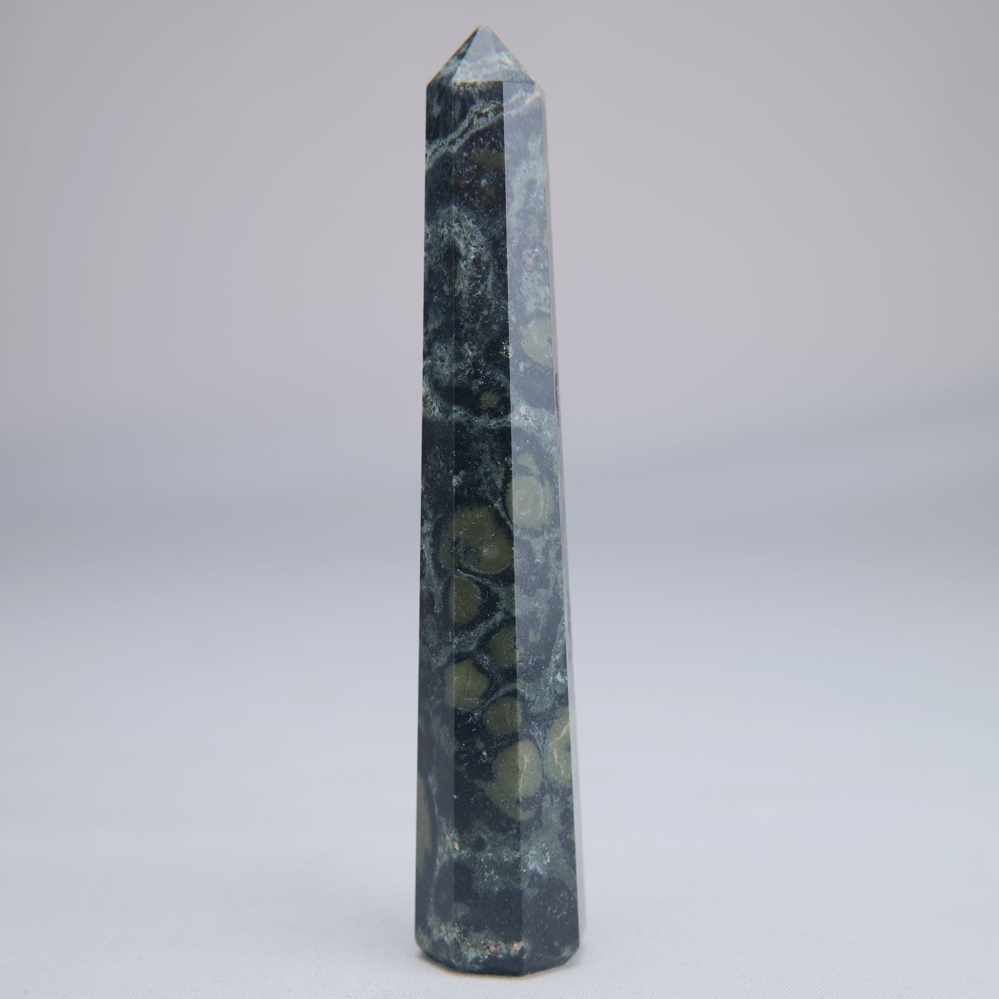 Kambaba Jasper Point 50g - Luna Panther