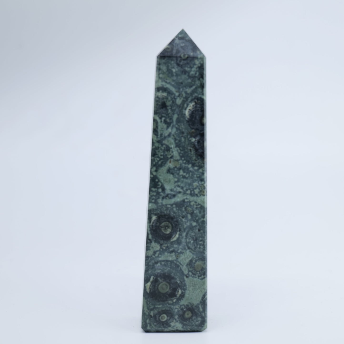 Kambaba Jasper Tower 100g - Luna Panther