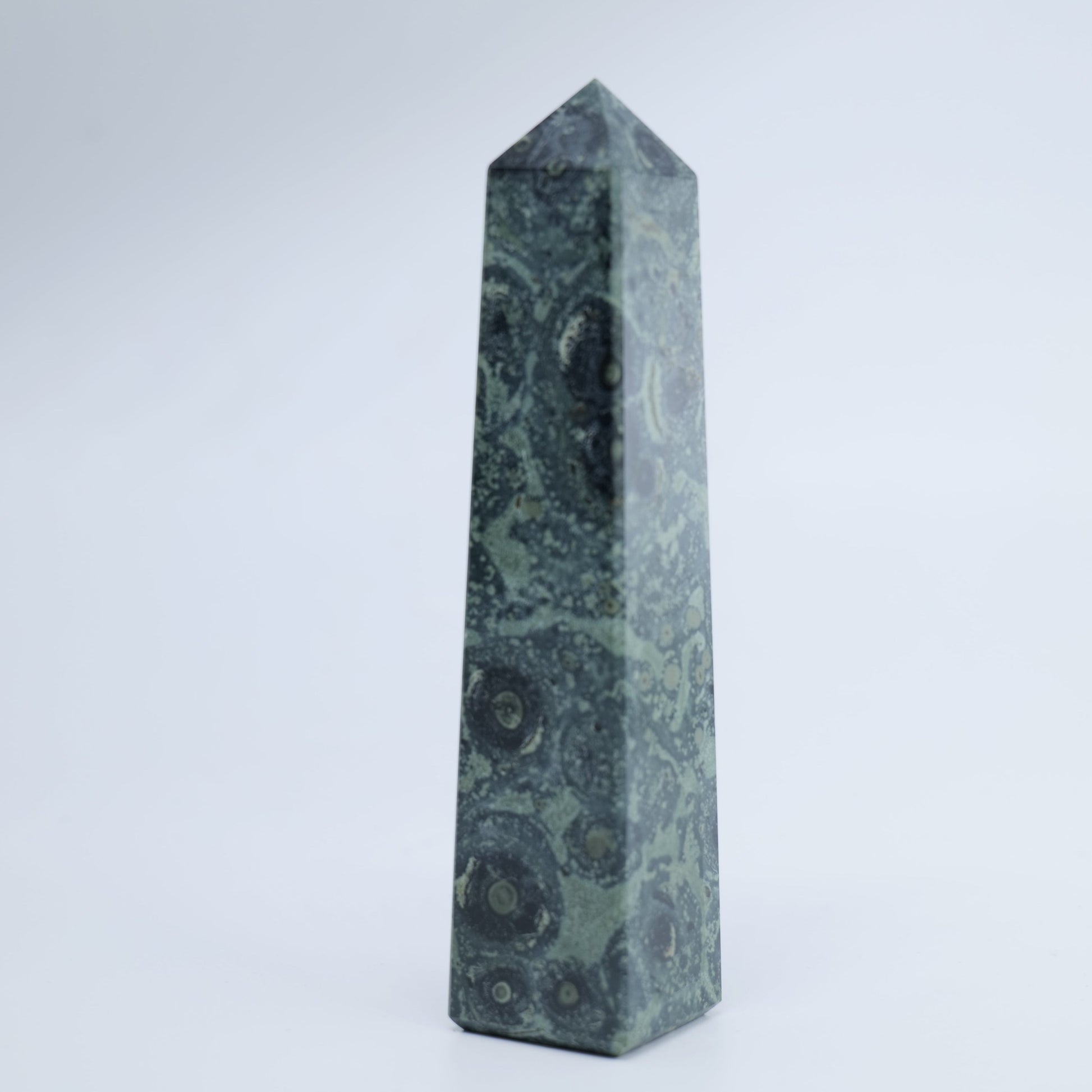 Kambaba Jasper Tower 100g - Luna Panther