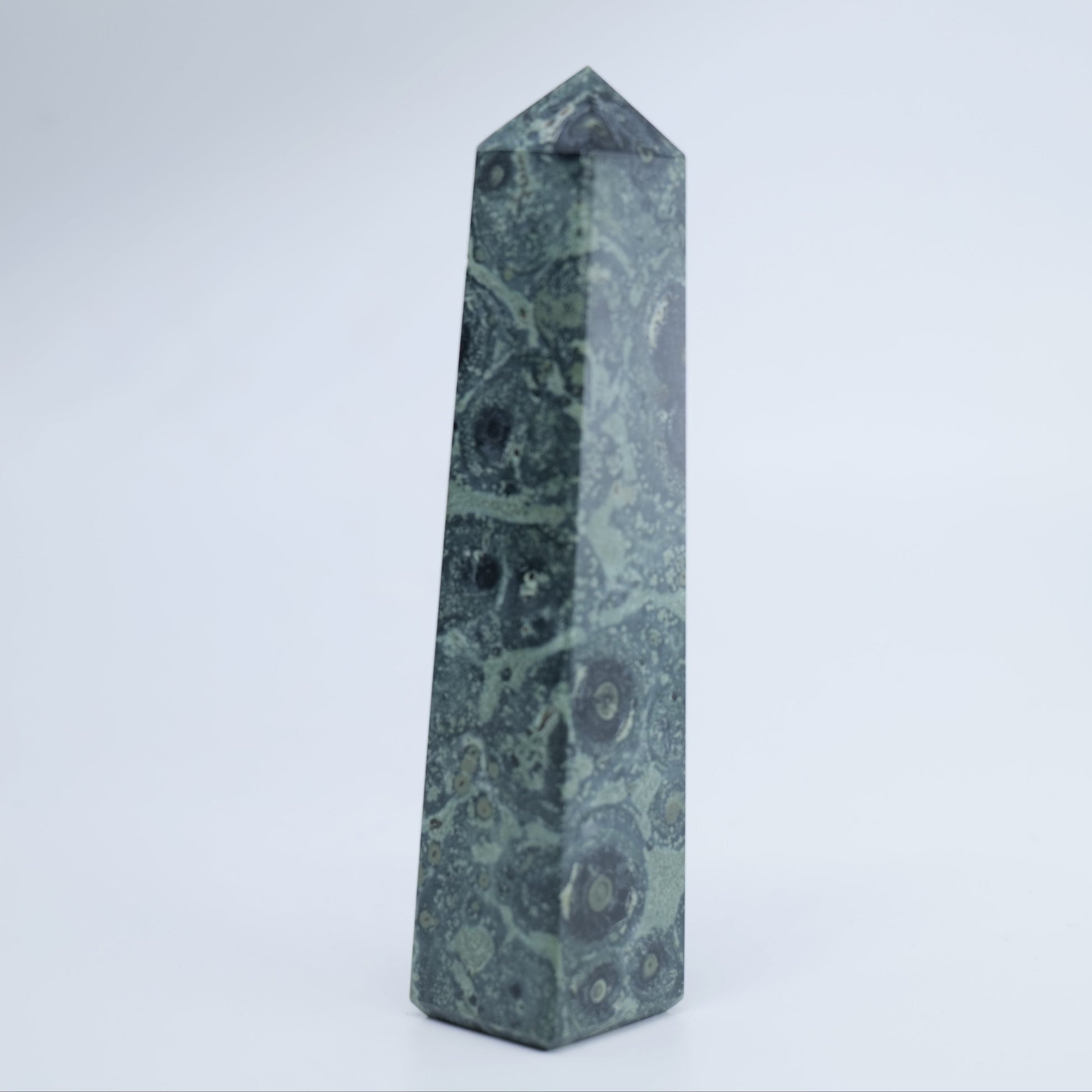 Kambaba Jasper Tower 100g - Luna Panther