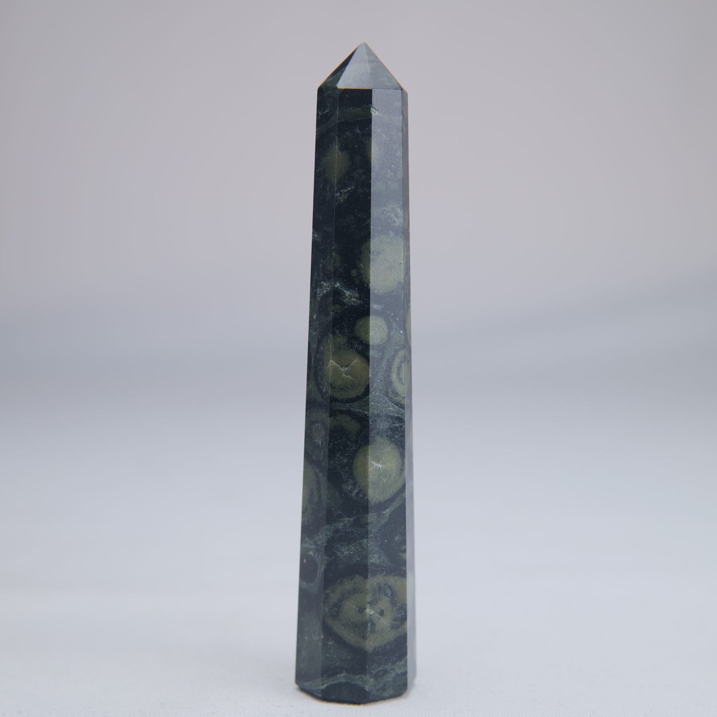 Kambaba Jasper Tower 100mm 45g - Luna Panther