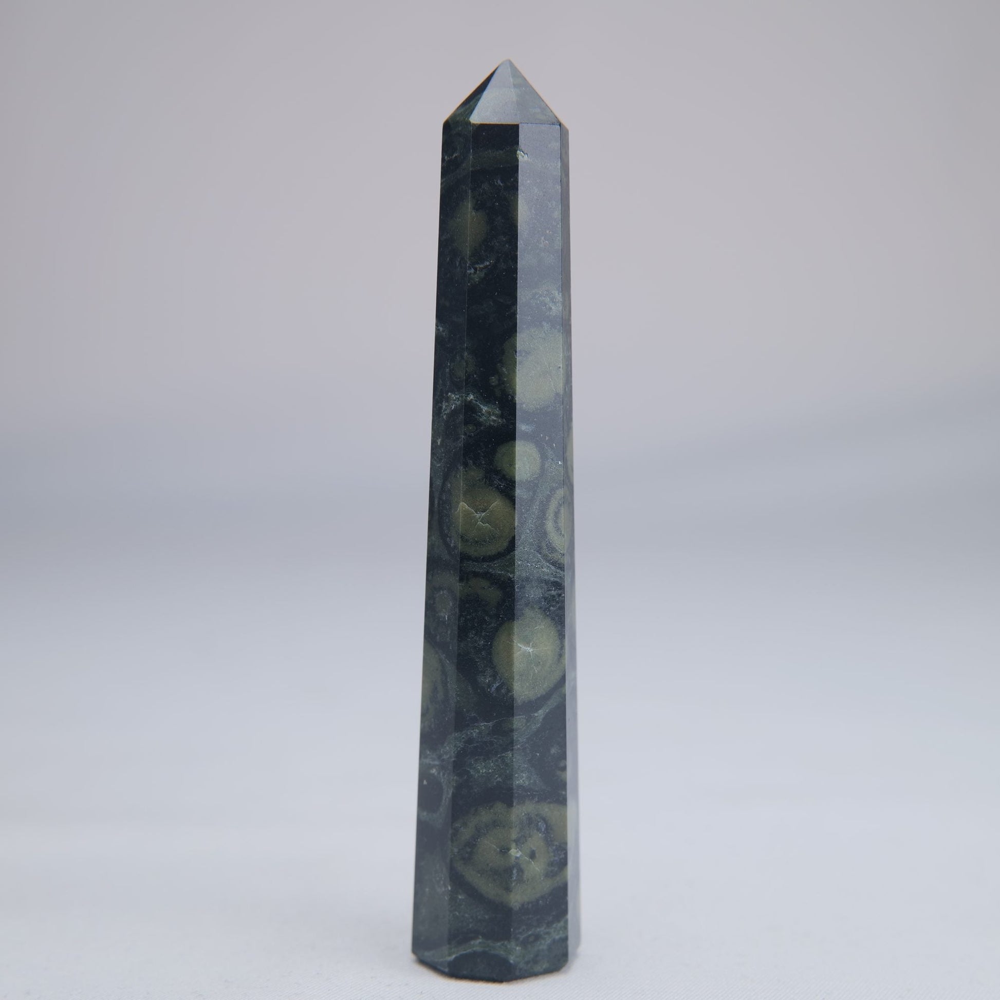 Kambaba Jasper Tower 100mm 45g - Luna Panther