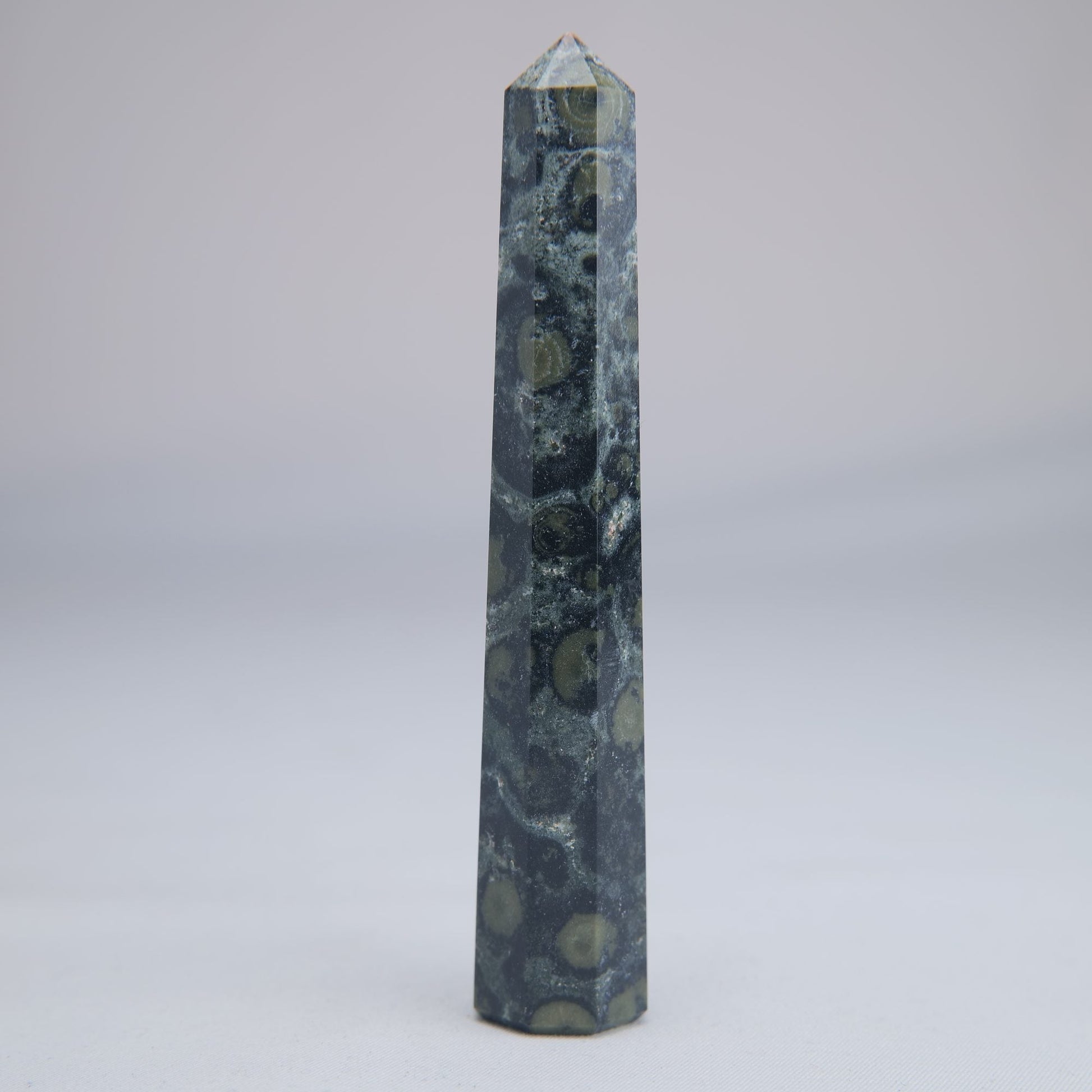 Kambaba Jasper Tower 100mm 53g - Luna Panther