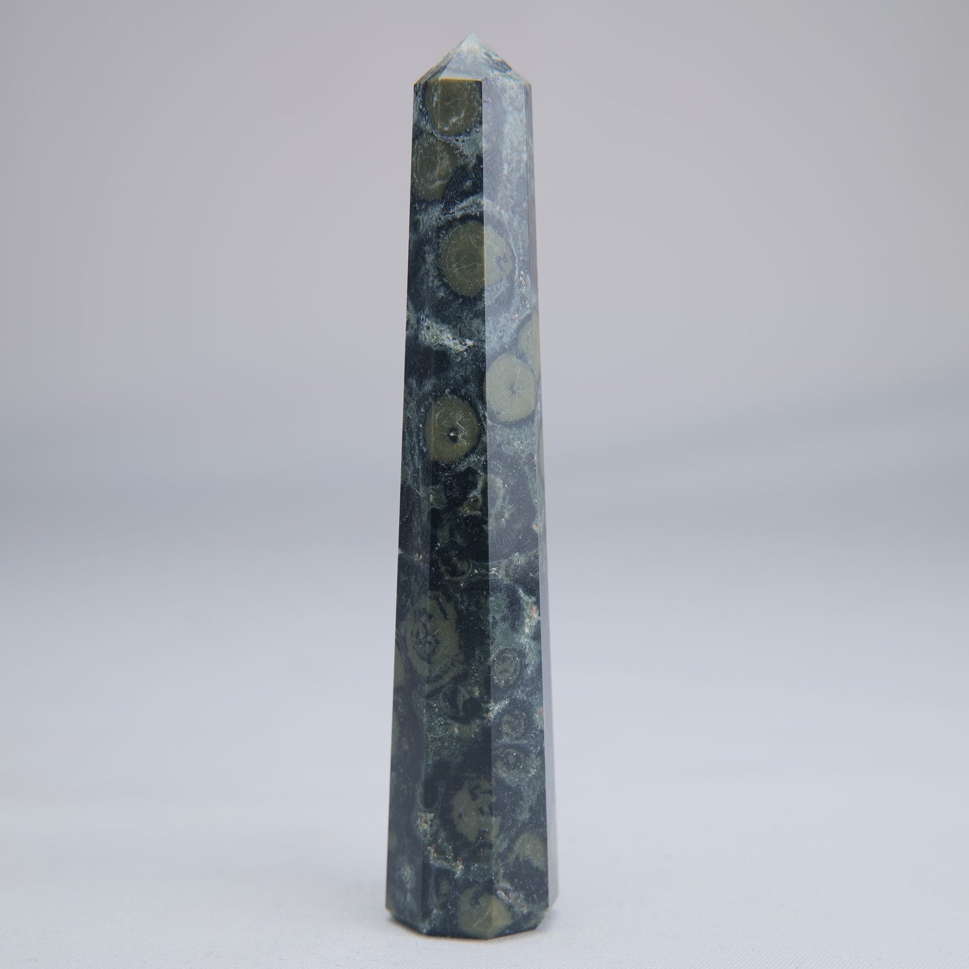Kambaba Jasper Tower 100mm 54g - Luna Panther