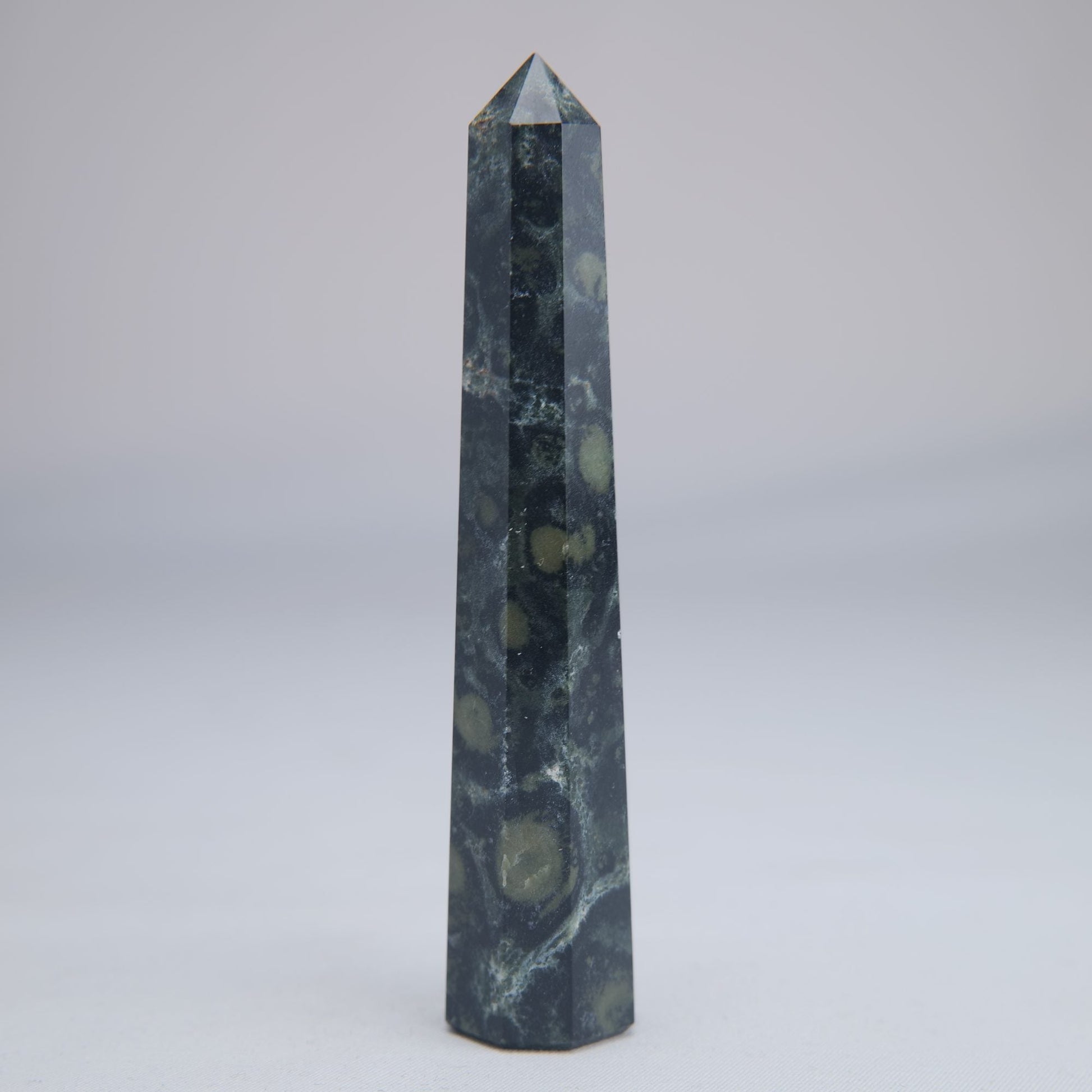 Kambaba Jasper Tower 100mm 58g - Luna Panther