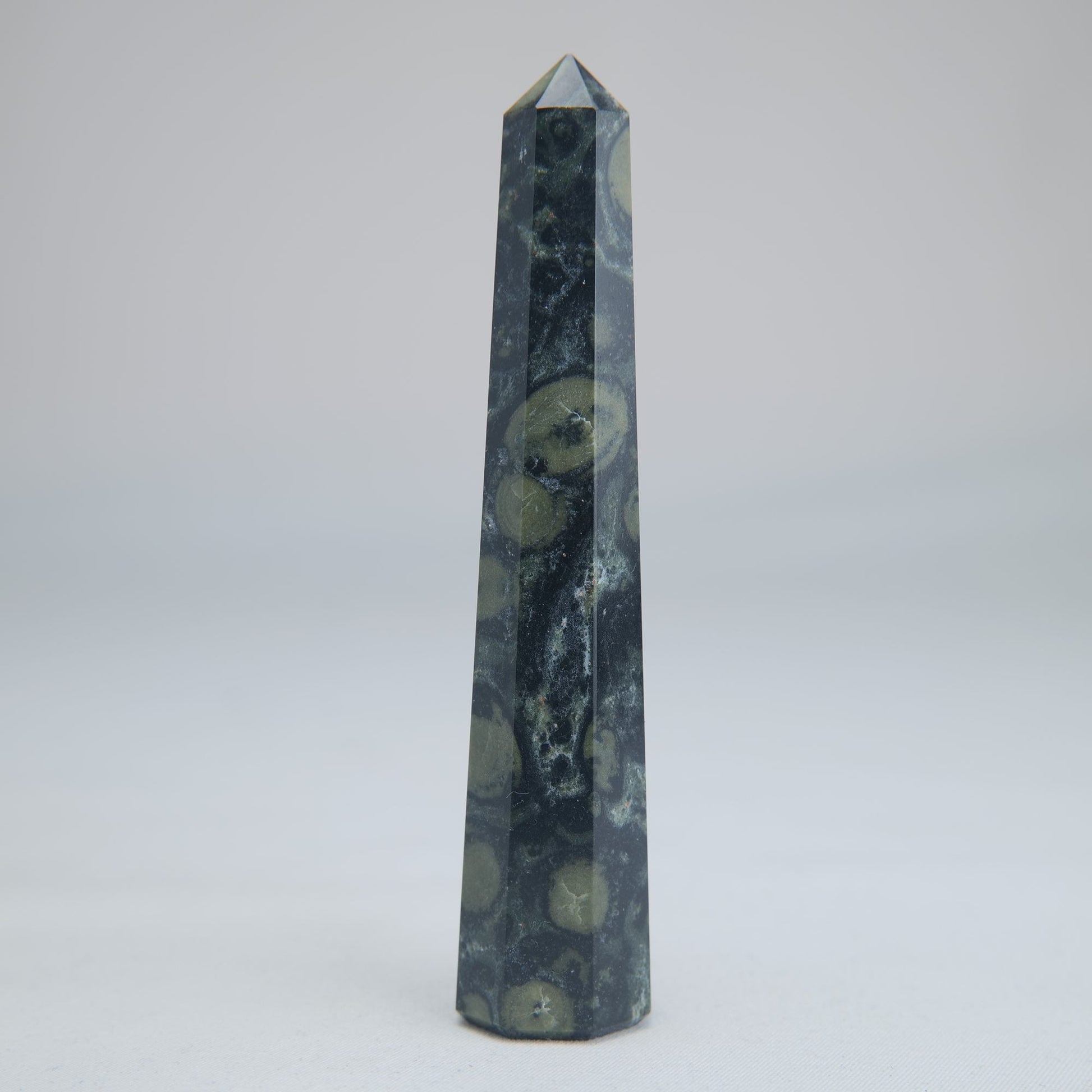 Kambaba Jasper Tower 100mm 60g - Luna Panther