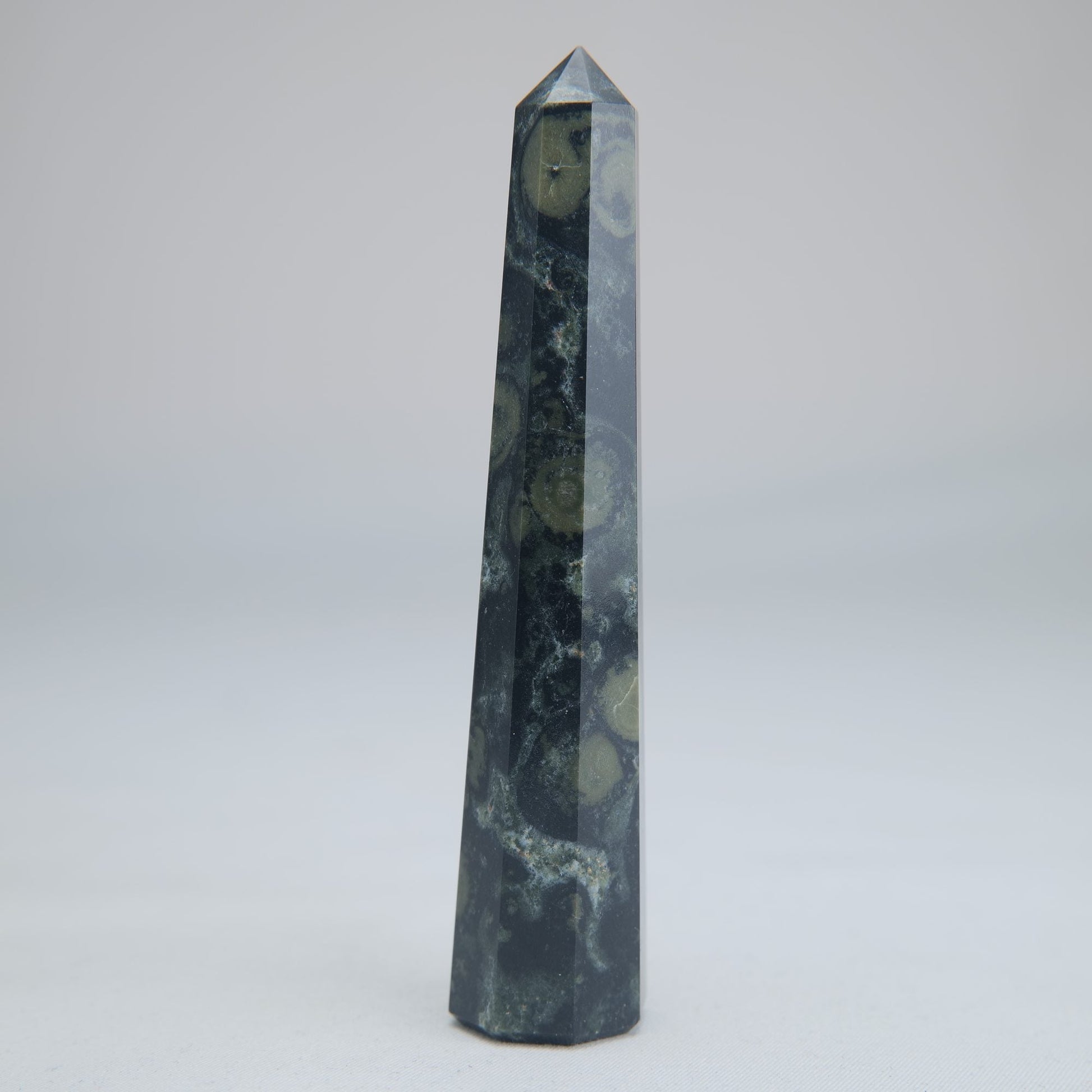 Kambaba Jasper Tower 100mm 60g - Luna Panther