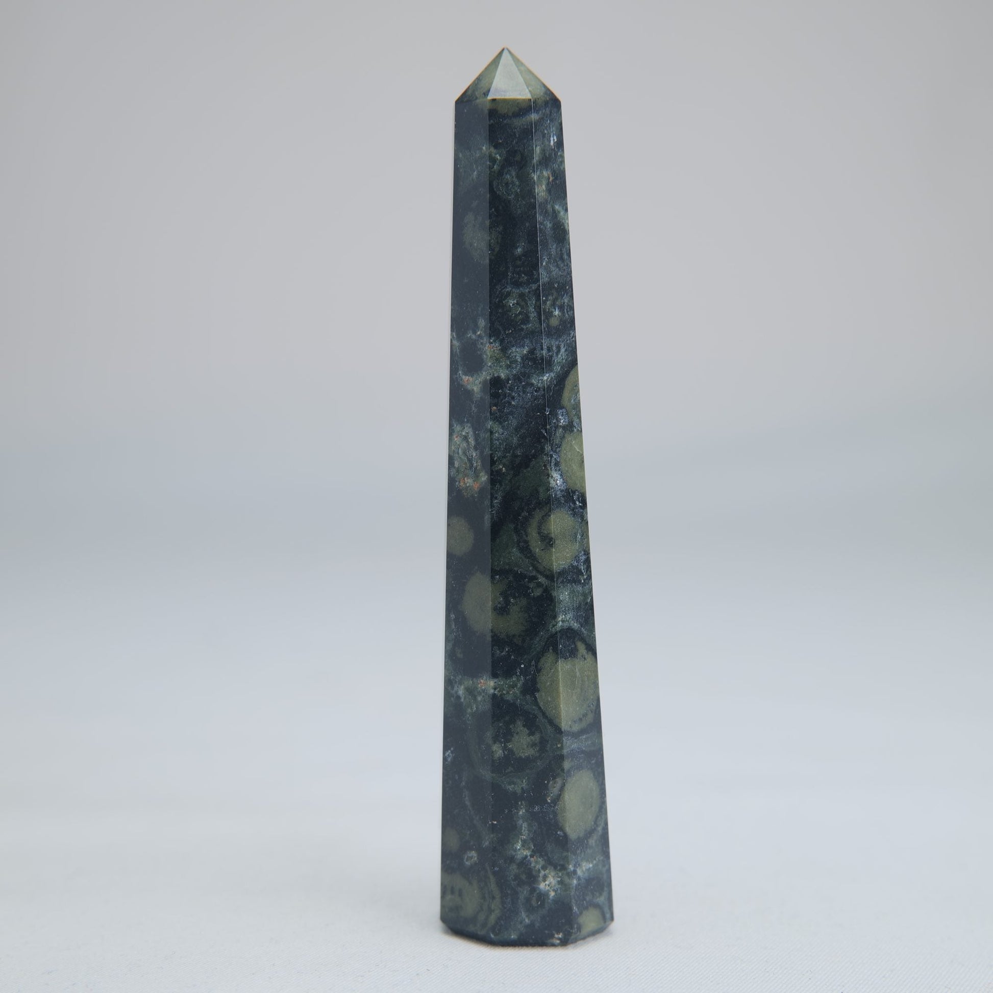 Kambaba Jasper Tower 100mm 60g - Luna Panther