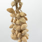 Kenari Shell Long Rattle (50 Shells) - Luna Panther