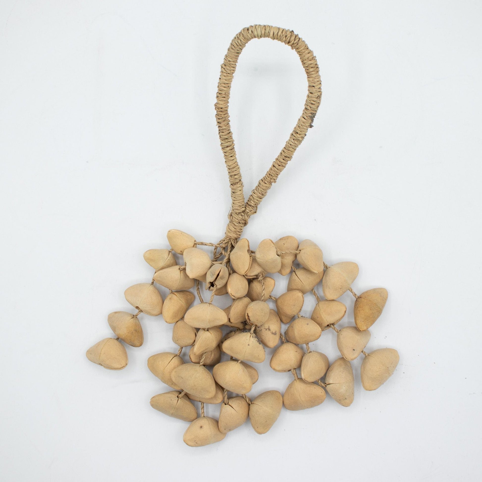 Kenari Shell Long Rattle (50 Shells) - Luna Panther