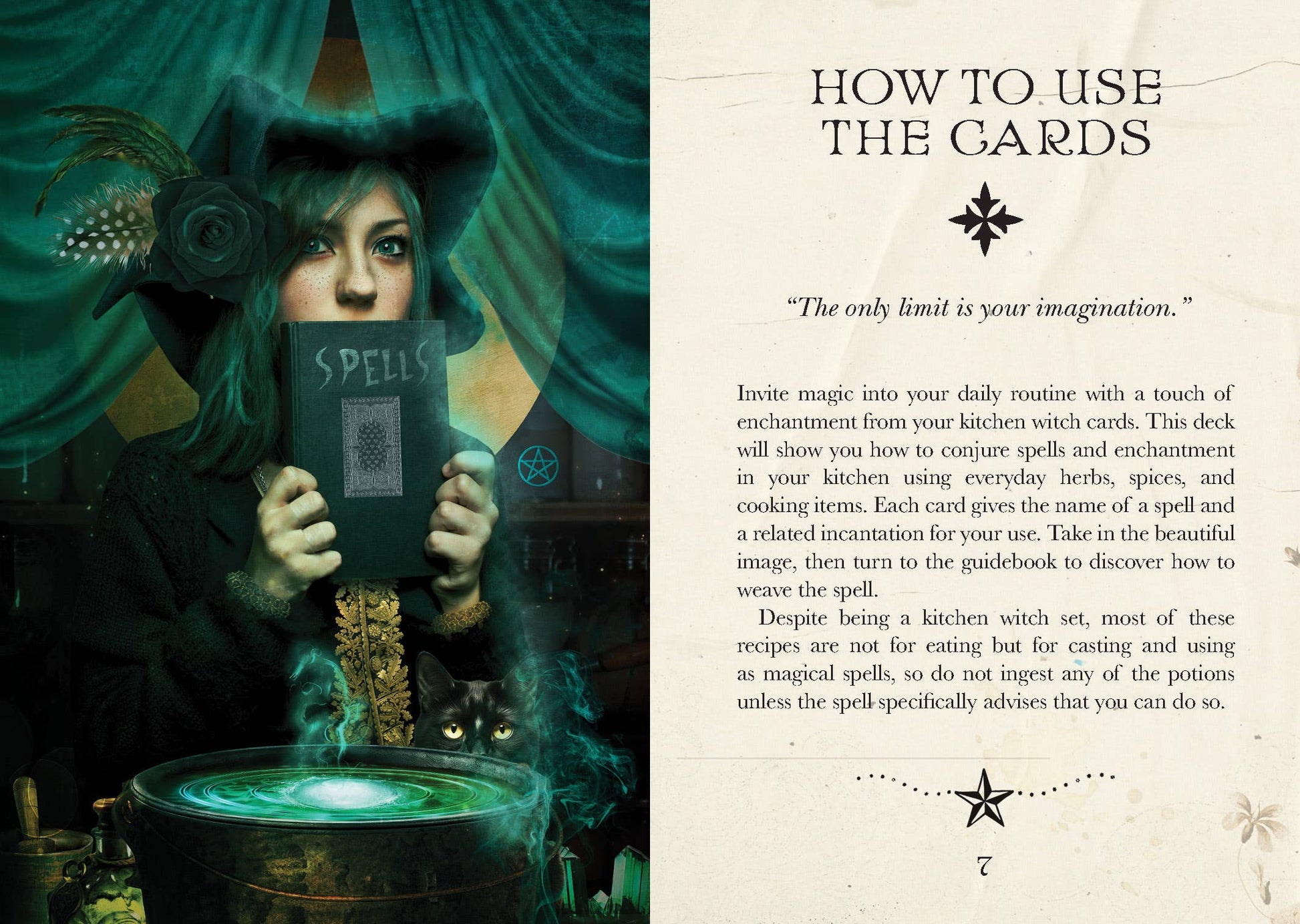 Kitchen Witch Oracle - Luna Panther
