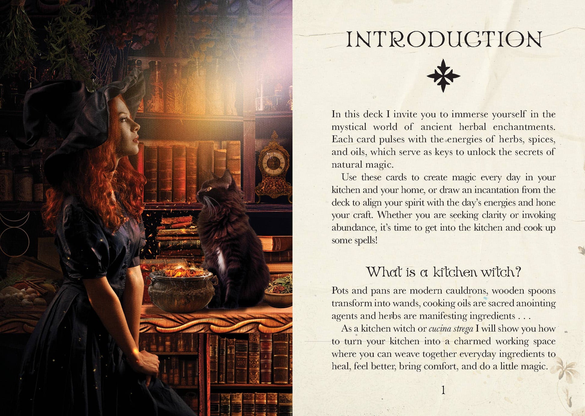Kitchen Witch Oracle - Luna Panther
