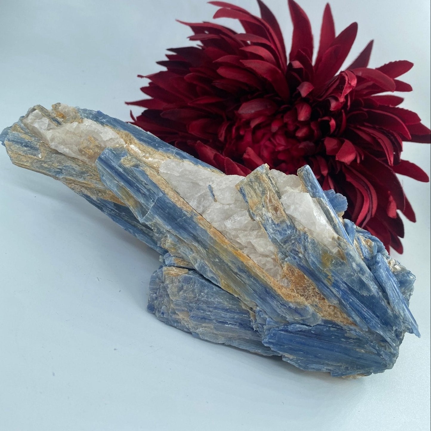 Natural Kyanite in Quartz Matrix featuring blade-like texture and blue sheen - Luna Panther