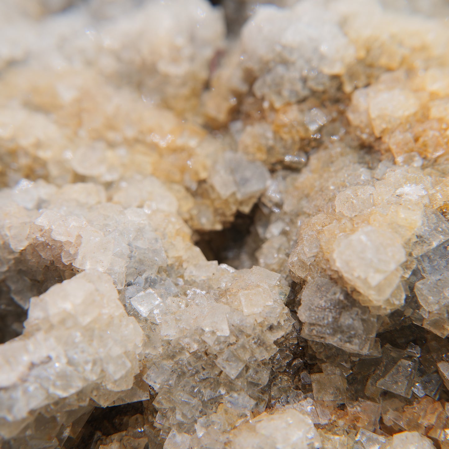 Labelled Gypsum & Probable Calcite from South Australia - 6800g