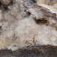 Labelled Gypsum & Probable Calcite from South Australia - 6800g