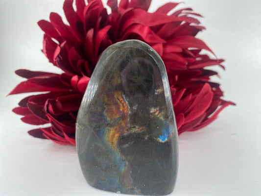 Polished Labradorite Free Form 232grams featuring blue flash and iridescent shimmer - Luna Panther