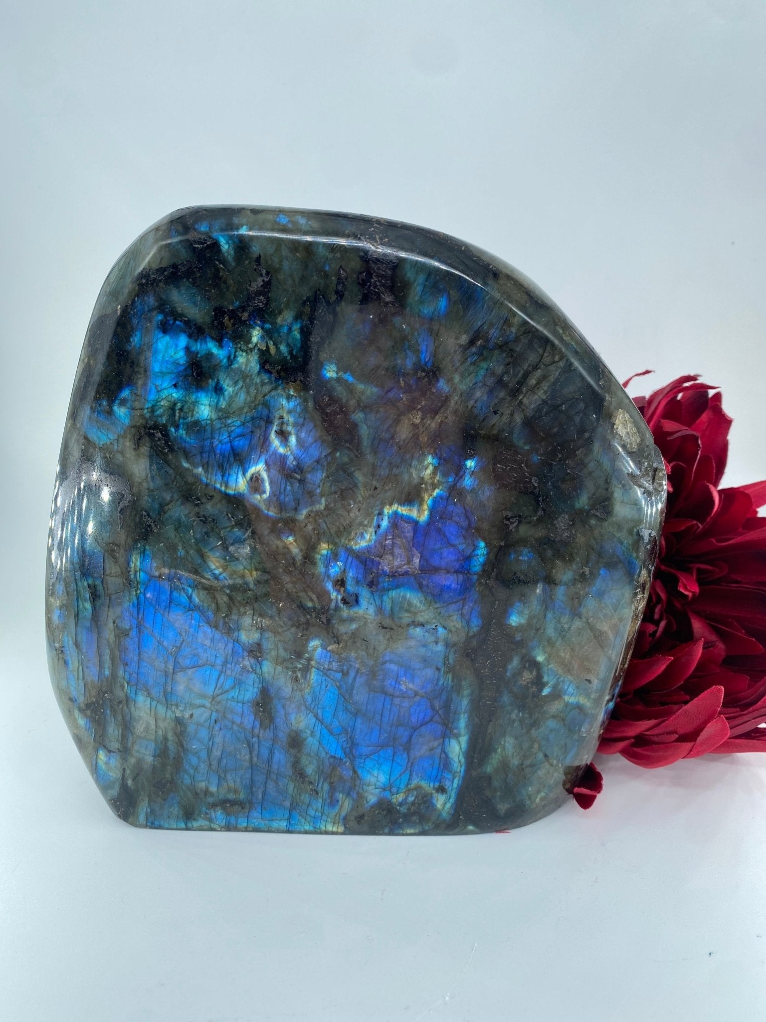 Polished Labradorite Free Form 2904grams featuring blue flash and iridescent shimmer - Luna Panther