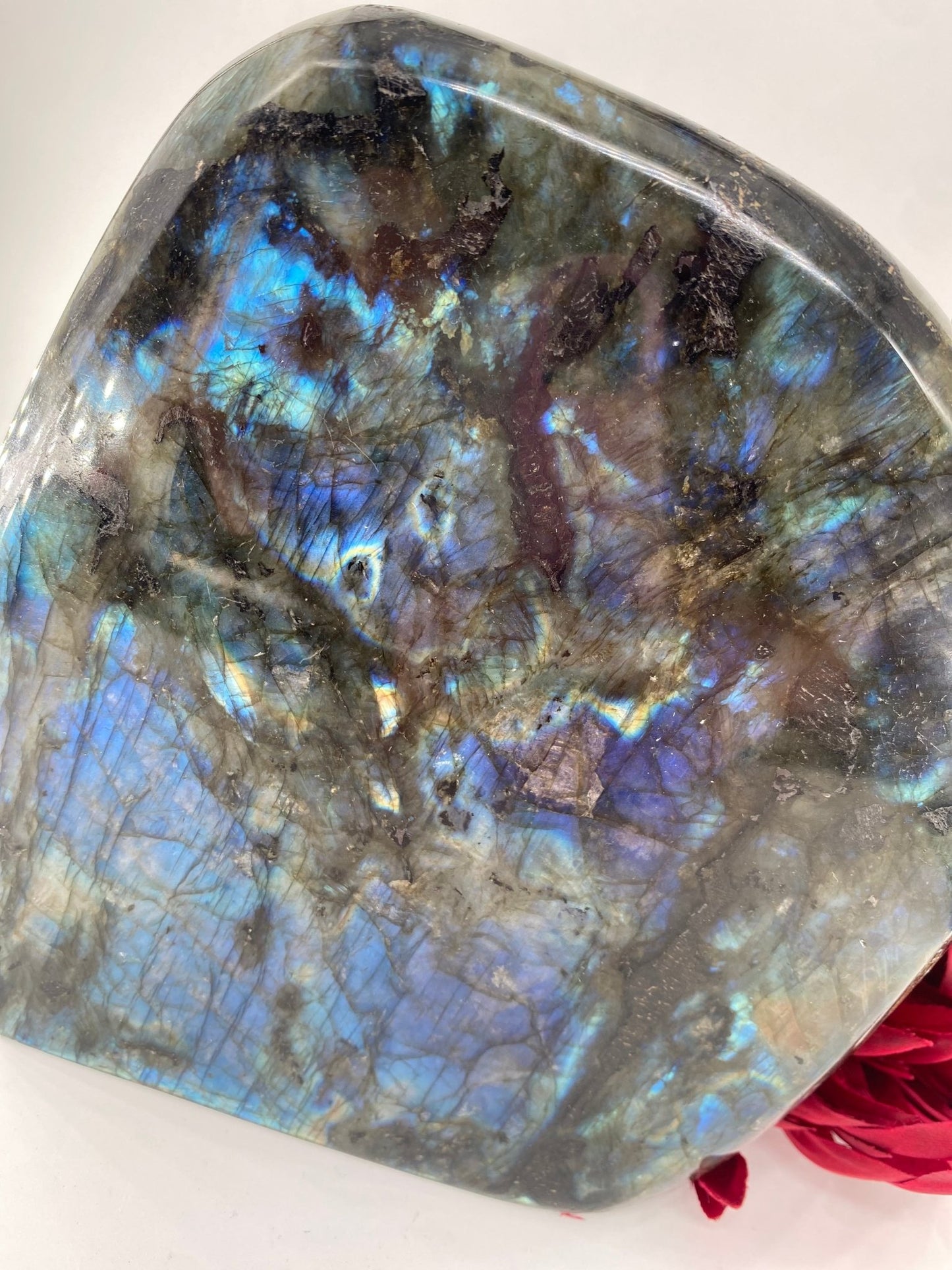 Polished Labradorite Free Form 290Grams featuring blue flash and iridescent shimmer - Luna Panther