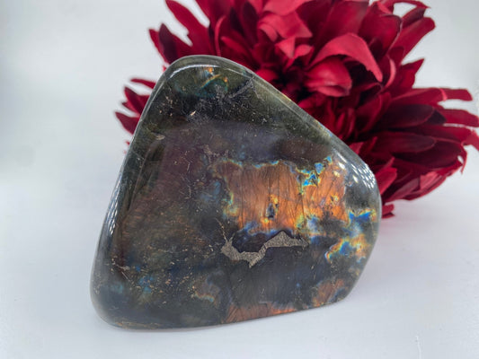 Polished Labradorite Free Form 309Grams featuring blue flash and iridescent shimmer - Luna Panther alternate view