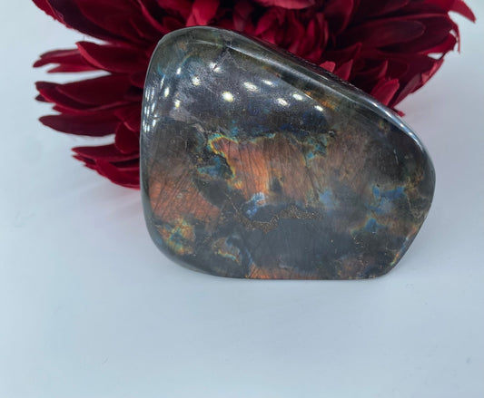 Polished Labradorite Free Form 309grams featuring blue flash and iridescent shimmer - Luna Panther